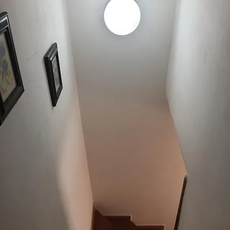 Apartment Mediterraneo *
